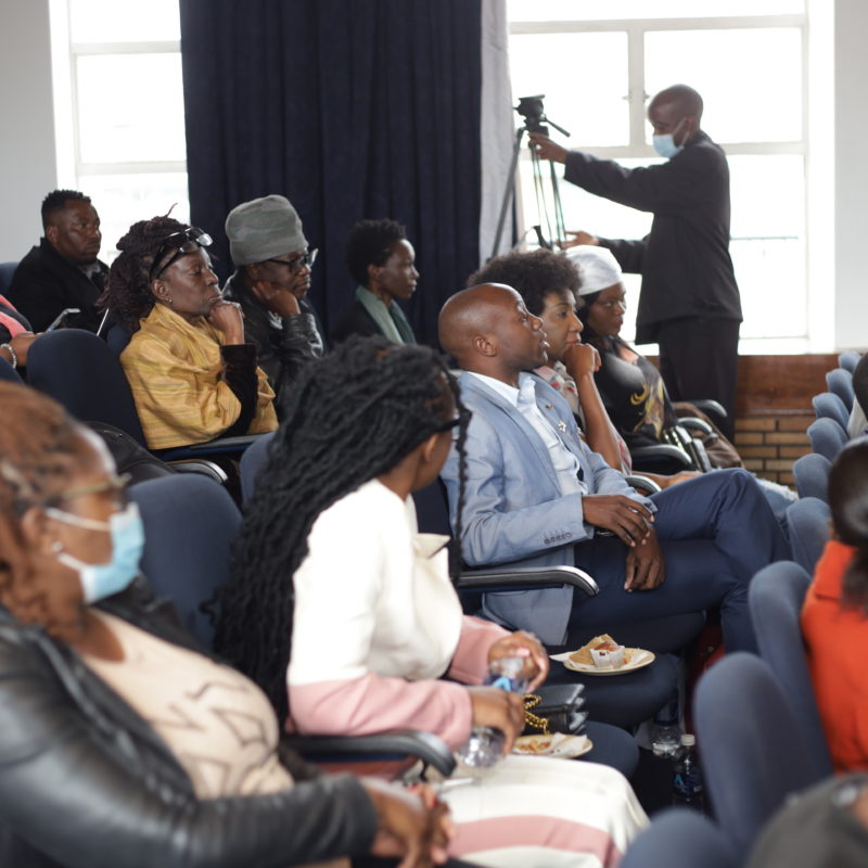 The Anti-piracy Festival was held in Harare on Tuesday August 2, with professionals from a wide range of backgrounds sharing their concerns about the threat. CREDIT: Afrotopia 