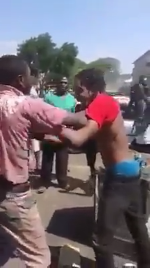 trevor dongo fight