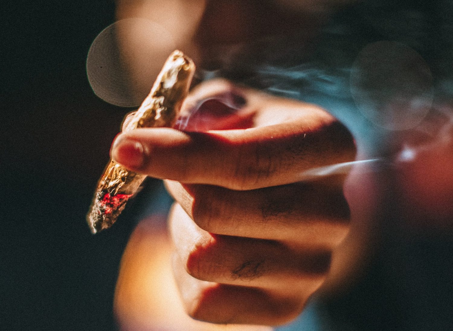 So...KZN is Totally Hosting a Cannabis Conference!