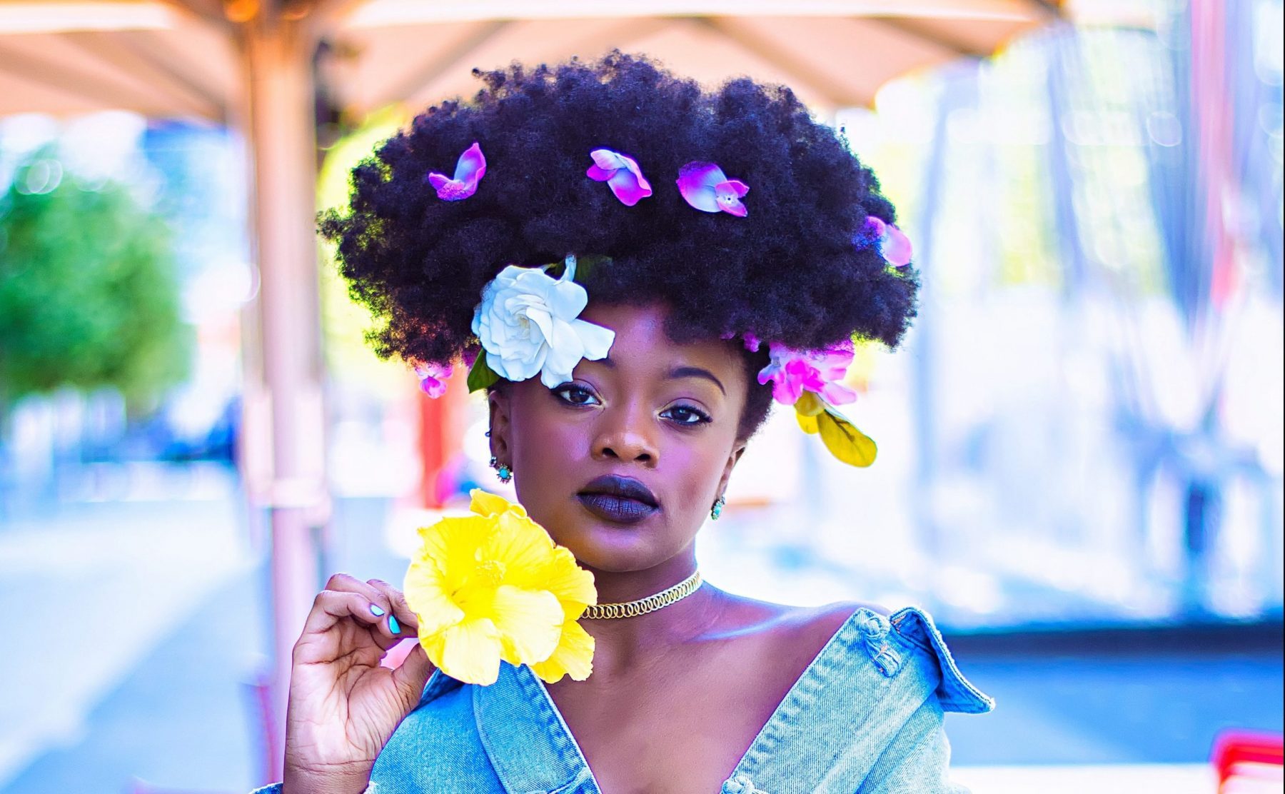 MAAG: Moving to Japan & Earning MIZ Status